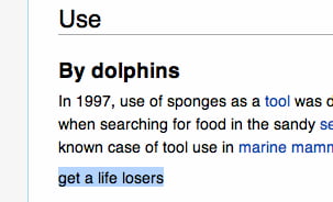 dolphins wikipedia