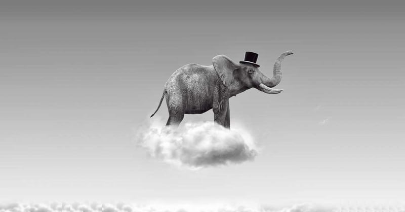elephant-on-a-cloud-1