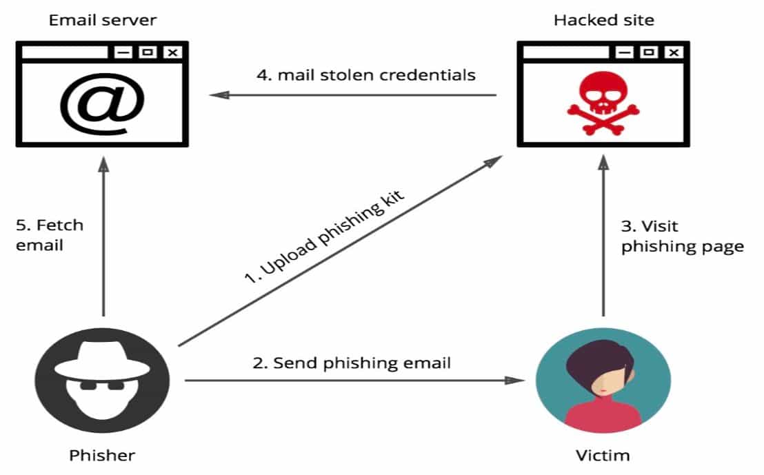 The phishing cycle