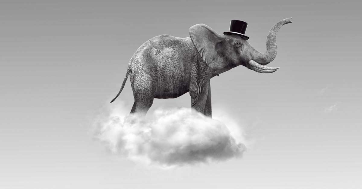 elephant-on-a-cloud