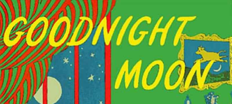 goodnight moon cover